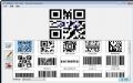 Aurora 3D Barcode GeneratorԤͼ