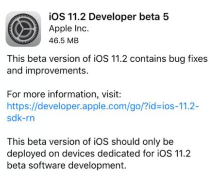 ios11.2.5beta2̼ʽ